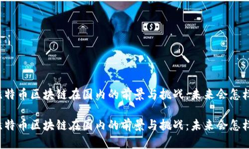 比特币区块链在国内的前景与挑战：未来会怎样？

比特币区块链在国内的前景与挑战：未来会怎样？