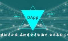 区块链币小圈：在数字货