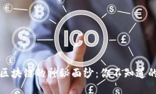 揭开比特币区块链的神秘面纱：你不知道的查询器功能